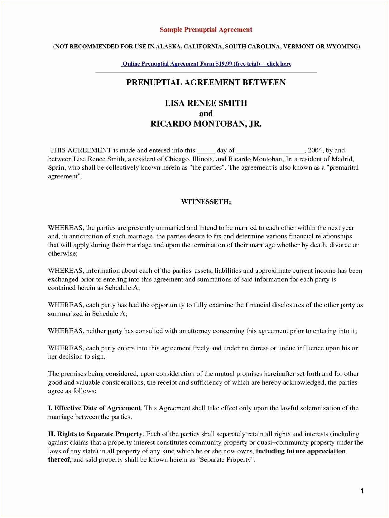 Free Prenuptial Agreement Template Australia 20 Example Prenuptial 