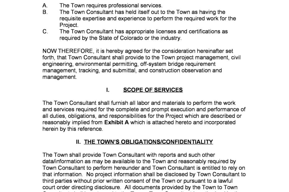 Professional Agreement Template